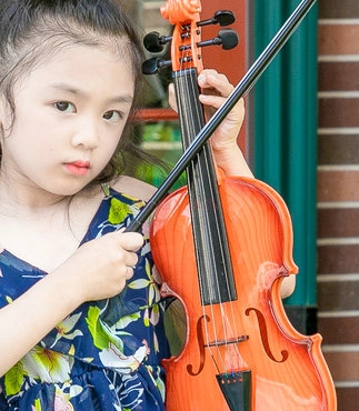 Juguete de violín simulado par - Musical Instrument Images reseña y precio