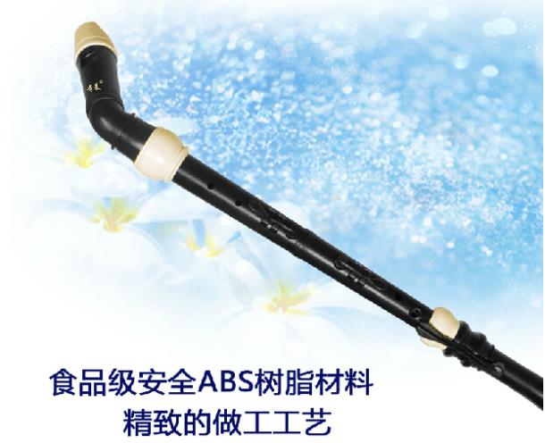 Clarinete de resina de bajo ba - Recorder Baroque Style reseña y precio