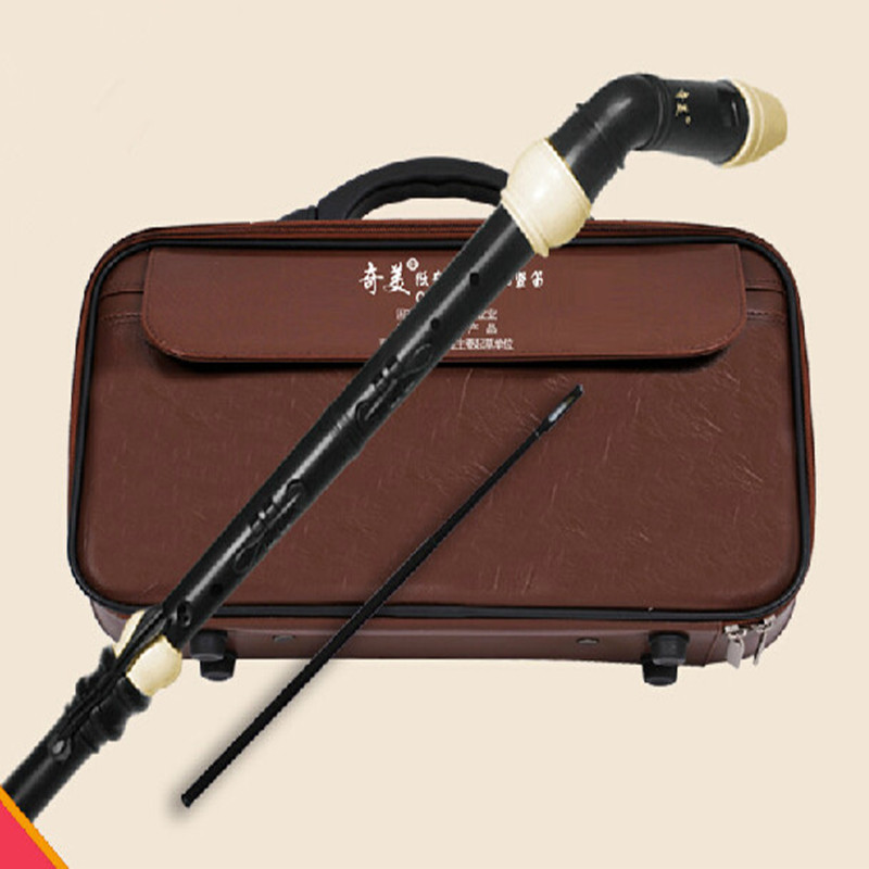 Clarinete de resina de bajo ba - Recorder Baroque Style reseña y precio