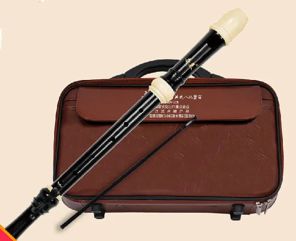 Flauta de Bisel de Plástico Es - Recorder Baroque Style reseña y precio